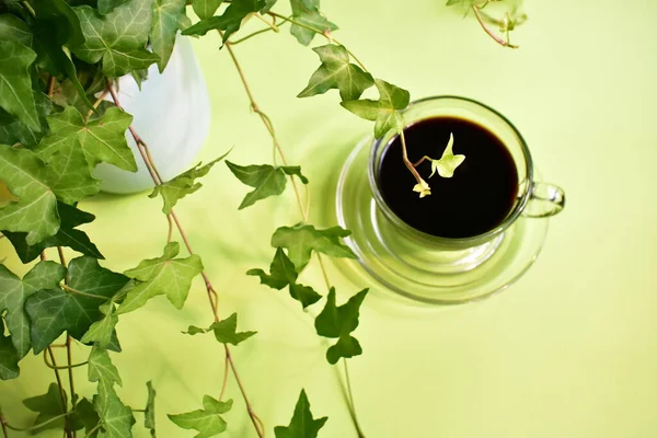 Green workplace, green office desk with black coffee glass cup, pastel green background, fresh, new life, peace, eco friendly