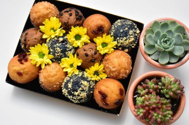 Abur cubur, lezzetli tatlı kek, lezzetli kupa kek, beyaz arka plan, şekerleme, pastane, ev yapımı, şekerli şekerlemeler, sarı papatya, mavi dutlu kek, çikolata parçalı kek kutusu