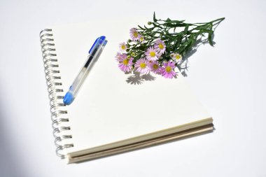 Güzel Avrupalı Michaelmas Daisy düzenleme sarmal defter, beyaz kağıt arka plan, güneşli, sıcak, romantik, düz yatak, üst görünüm