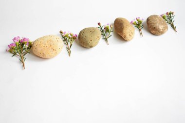 Soyut kaya çakıl taşları ve beyaz arka planda çiçekler, üst manzara, Avustralya yerlisi yabani çiçek pastel pembe Geraldton Balmumu bukalemuncinatum, spa konsepti, huzur, rahatlama, meditasyon, sağlıklı yaşam