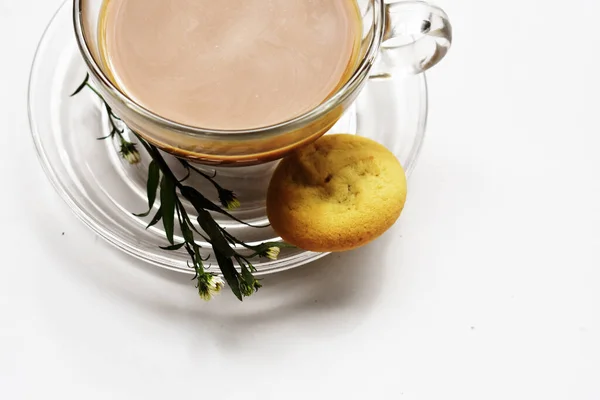 Milk coffee/ milk tea glass cup top view with cookie/ biscuit flat lay, food and beverage, breakfast table, dessert desk, sunny, white background, barista coffee, drink concept