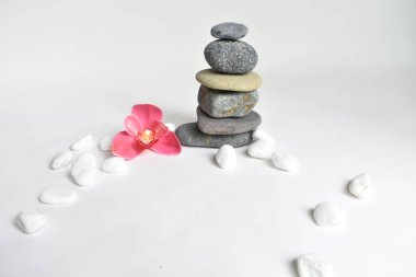 Beyaz arka planda izole edilmiş taş yığınları ve pembe orkide çiçeği. Çakıl taşı kulesi. Denge ve uyum kavramı. Sakin ve ruh, spa taşları ve zen, barış, meditasyon, manevi ve soyut