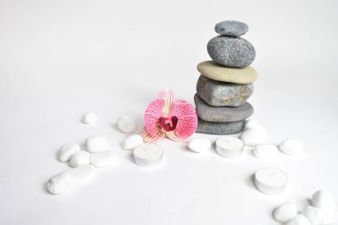 Beyaz arka planda izole edilmiş taş yığınları ve pembe orkide çiçeği. Çakıl taşı kulesi. Denge ve uyum kavramı. Sakin ve ruh, spa taşları ve zen, barış, meditasyon, manevi ve soyut