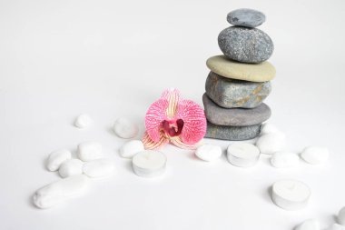 Beyaz arka planda izole edilmiş taş yığınları ve pembe orkide çiçeği. Çakıl taşı kulesi. Denge ve uyum kavramı. Sakin ve ruh, spa taşları ve zen, barış, meditasyon, manevi ve soyut