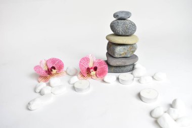 Beyaz arka planda izole edilmiş taş yığınları ve pembe orkide çiçeği. Çakıl taşı kulesi. Denge ve uyum kavramı. Sakin ve ruh, spa taşları ve zen, barış, meditasyon, manevi ve soyut