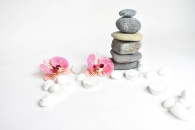 Beyaz arka planda izole edilmiş taş yığınları ve pembe orkide çiçeği. Çakıl taşı kulesi. Denge ve uyum kavramı. Sakin ve ruh, spa taşları ve zen, barış, meditasyon, manevi ve soyut
