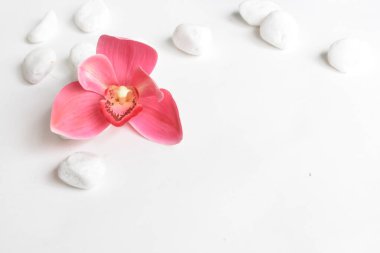 Beyaz arka planda pembe orkideli beyaz taşlar ve mum. Beyaz çakıl taşları. Denge ve uyum kavramı. Sakin ve ruh, spa taşları ve zen, barış, meditasyon, manevi, soyut, güzellik