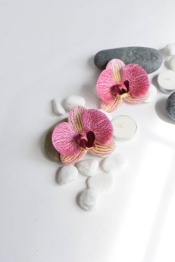 Beyaz arka planda pembe orkideli beyaz taşlar ve mum. Beyaz çakıl taşları. Denge ve uyum kavramı. Sakin ve ruh, spa taşları ve zen, barış, meditasyon, manevi, soyut, güzellik
