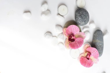 Beyaz arka planda pembe orkideli beyaz taşlar ve mum. Beyaz çakıl taşları. Denge ve uyum kavramı. Sakin ve ruh, spa taşları ve zen, barış, meditasyon, manevi, soyut, güzellik