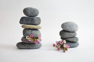 Beyaz arka planda izole edilmiş taş yığınları ve pembe balmumu çiçekler. Çakıl taşı kulesi. Denge ve uyum kavramı. Sakin ve ruh, spa taşları ve zen, barış, meditasyon, manevi ve soyut