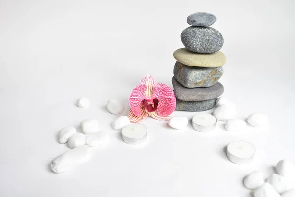 Stack Stones Isolated White Background Pink Orchid Flower Pebbles Tower — Stock Photo, Image