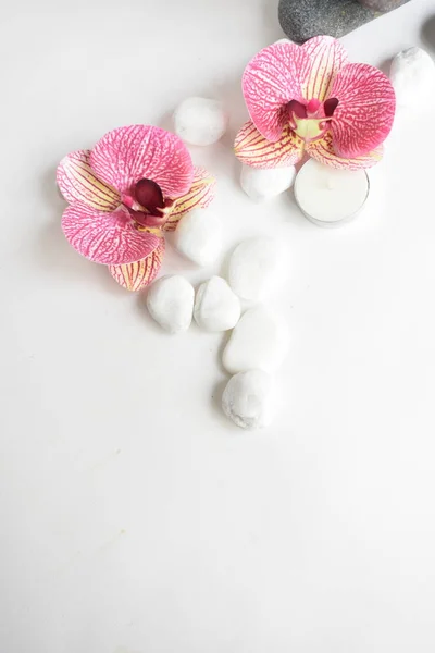 White stones and candle with pink orchid in white background. white pebbles. Concept of balance and harmony. Calm and spirit, spa stones and zen, peace, meditation, spiritual, abstract, beauty