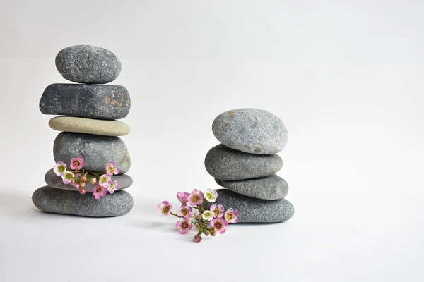 Stack stones isolated in white background and pink wax flowers. Pebbles tower. Concept of balance and harmony. Calm and spirit, spa stones and zen, peace, meditation, spiritual, abstract