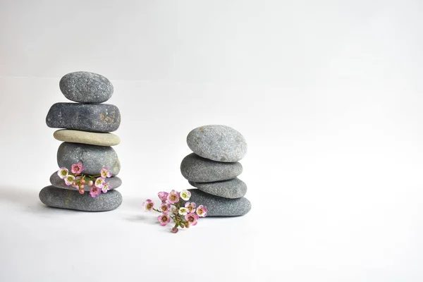 Stack stones isolated in white background and pink wax flowers. Pebbles tower. Concept of balance and harmony. Calm and spirit, spa stones and zen, peace, meditation, spiritual, abstract