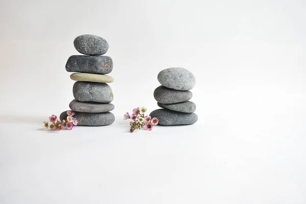 Stack stones isolated in white background and pink wax flowers. Pebbles tower. Concept of balance and harmony. Calm and spirit, spa stones and zen, peace, meditation, spiritual, abstract