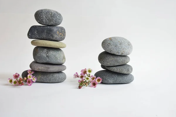 Piedras Apiladas Aisladas Fondo Blanco Flores Cera Rosa Torre Guijarros — Foto de Stock