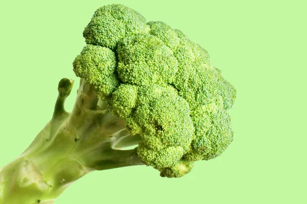 Brokoli Diisolasi Latar Belakang Hijau Pastel Tidak Ada Bayangan Kembang — Stok Foto