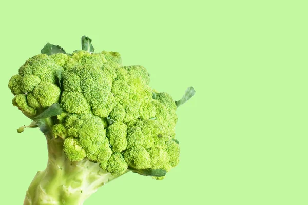 Pastel Yeşil Arka Planda Izole Edilmiş Brokoli Gölge Yok Yeşil — Stok fotoğraf