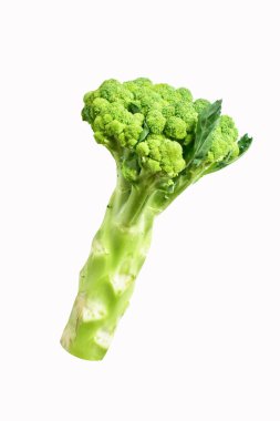 Beyaz arka planda izole edilmiş brokoli, gölge yok, yeşil karnabahar izole edilmiş, vegan, sebze, yemek pişirme, malzeme, organik, sağlıklı yiyecek.