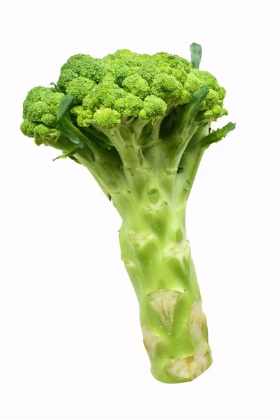 Brokolice Izolované Bílém Pozadí Žádný Stín Zelený Květák Izolované Vegan — Stock fotografie