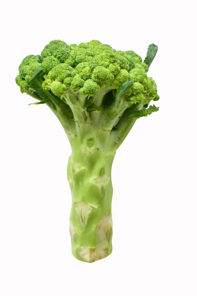 Broccoli Geïsoleerd Witte Achtergrond Geen Schaduw Groene Bloemkool Geïsoleerd Veganistisch — Stockfoto