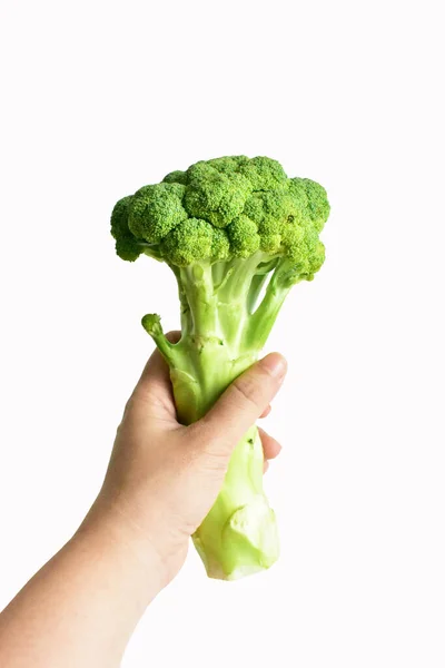 Broccoli Geïsoleerd Witte Achtergrond Geen Schaduw Groene Bloemkool Geïsoleerd Veganistisch — Stockfoto