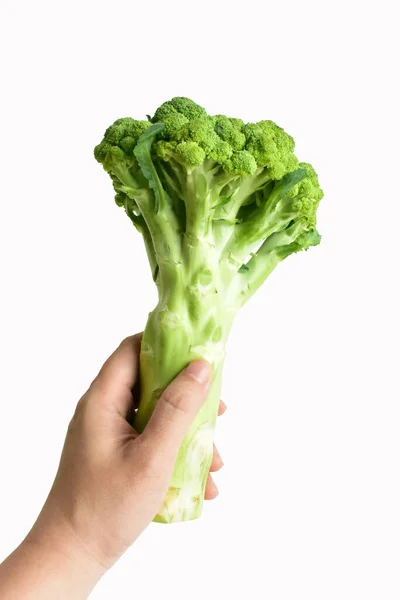 Broccoli Geïsoleerd Witte Achtergrond Geen Schaduw Groene Bloemkool Geïsoleerd Veganistisch — Stockfoto