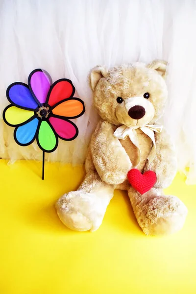 Cute Teddy Bear Soft Toy Holding Rainbow Pinwheel Windmill Kids — Stock Photo, Image