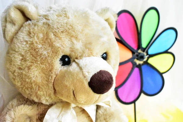 Boneka Beruang Teddy Lucu Mainan Lembut Memegang Pinwheel Pelangi Kincir — Stok Foto