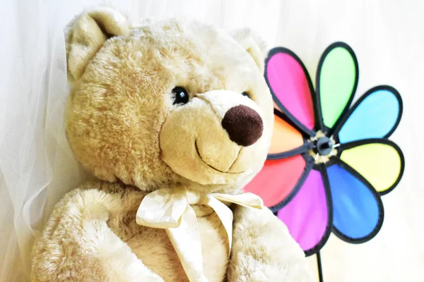 Boneka Beruang Teddy Lucu Mainan Lembut Memegang Pinwheel Pelangi Kincir — Stok Foto