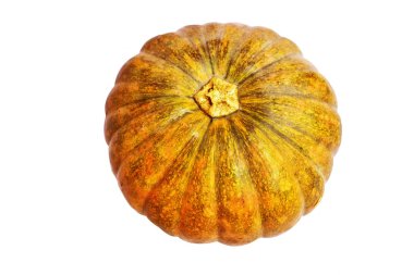 Beyaz arka planda izole edilmiş balkabağı, kırpma yolu olmayan Cadılar Bayramı kabağı, gölgesiz, sonbahar arkaplanı, Şükran Günü balkabağı