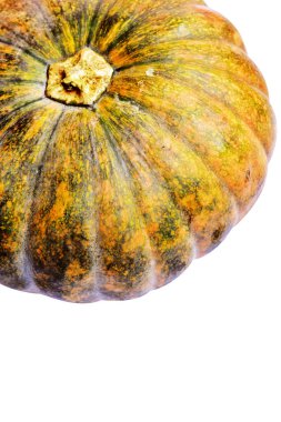 Beyaz arka planda izole edilmiş balkabağı, kırpma yolu olmayan Cadılar Bayramı kabağı, gölgesiz, sonbahar arkaplanı, Şükran Günü balkabağı