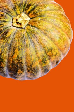 Kabak turuncu arka plan, Cadılar Bayramı balkabağı kırpma yolu, gölge yok, sonbahar arka planı, Şükran Günü balkabağı