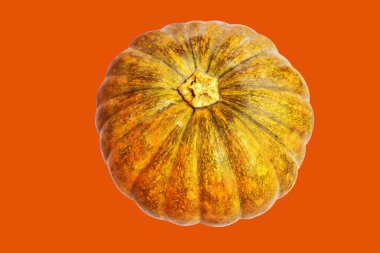 Kabak turuncu arka plan, Cadılar Bayramı balkabağı kırpma yolu, gölge yok, sonbahar arka planı, Şükran Günü balkabağı