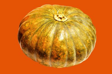 Kabak turuncu arka plan, Cadılar Bayramı balkabağı kırpma yolu, gölge yok, sonbahar arka planı, Şükran Günü balkabağı