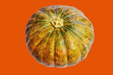 Kabak turuncu arka plan, Cadılar Bayramı balkabağı kırpma yolu, gölge yok, sonbahar arka planı, Şükran Günü balkabağı