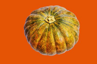 Kabak turuncu arka plan, Cadılar Bayramı balkabağı kırpma yolu, gölge yok, sonbahar arka planı, Şükran Günü balkabağı