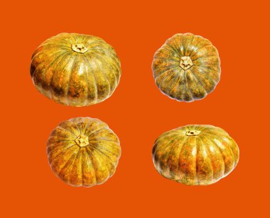 Kabak turuncu arka plan, Cadılar Bayramı balkabağı kırpma yolu, gölge yok, sonbahar arka planı, Şükran Günü balkabağı