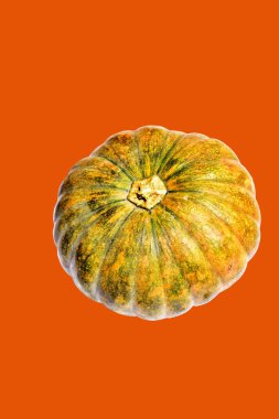 Kabak turuncu arka plan, Cadılar Bayramı balkabağı kırpma yolu, gölge yok, sonbahar arka planı, Şükran Günü balkabağı