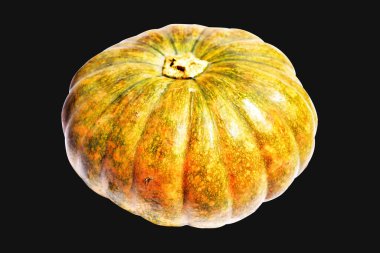 Balkabağı, izole edilmiş siyah arka plan, kırpma yolu olmayan Cadılar Bayramı balkabağı, sonbahar arka planı, Şükran Günü balkabağı