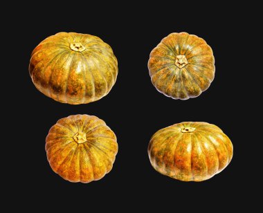 Balkabağı, izole edilmiş siyah arka plan, kırpma yolu olmayan Cadılar Bayramı balkabağı, sonbahar arka planı, Şükran Günü balkabağı