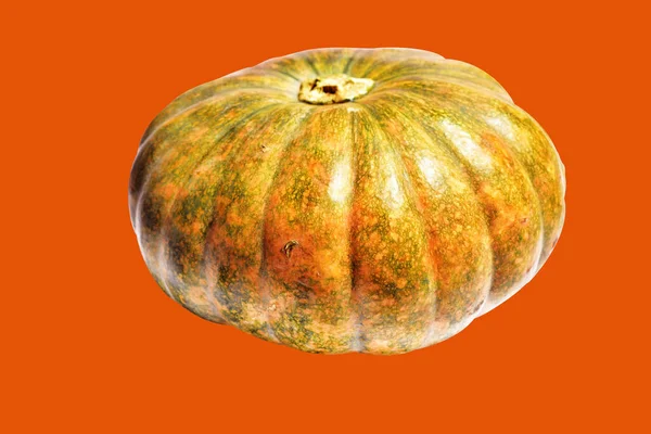 Kabak turuncu arka plan, Cadılar Bayramı balkabağı kırpma yolu, gölge yok, sonbahar arka planı, Şükran Günü balkabağı