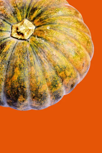 Pumpa Isolerad Orange Bakgrund Halloween Pumpa Med Klippning Väg Ingen — Stockfoto