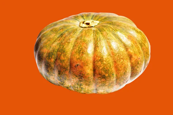 Kabak turuncu arka plan, Cadılar Bayramı balkabağı kırpma yolu, gölge yok, sonbahar arka planı, Şükran Günü balkabağı