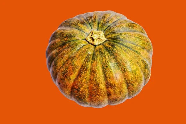 Pumpkin Isolated Orange Background Halloween Pumpkin Clipping Path Shadow Autumn — Stock Photo, Image