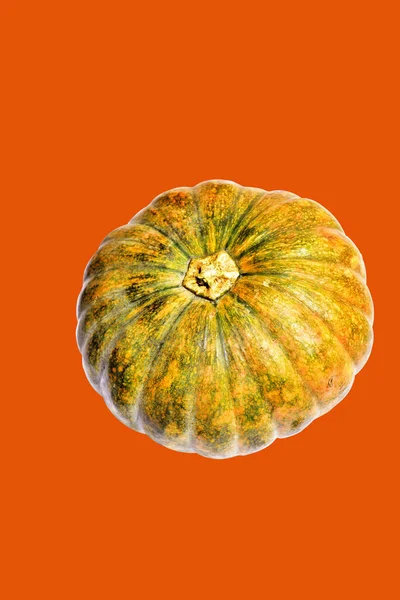 Kabak turuncu arka plan, Cadılar Bayramı balkabağı kırpma yolu, gölge yok, sonbahar arka planı, Şükran Günü balkabağı