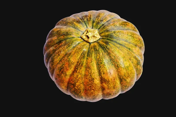 Pumpkin Isolated Black Background Halloween Pumpkin Clipping Path Shadow Autumn — Stock Photo, Image