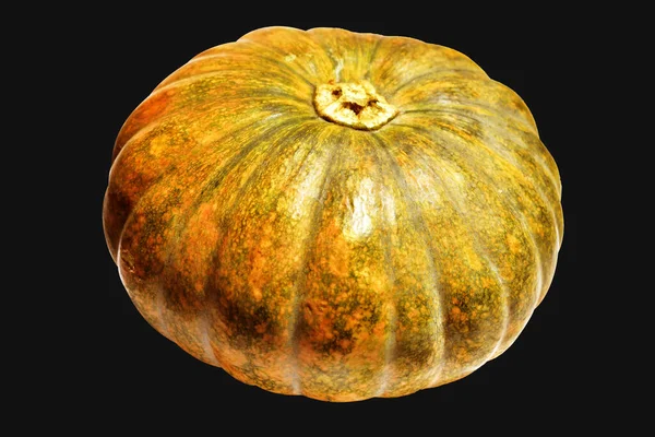 Balkabağı, izole edilmiş siyah arka plan, kırpma yolu olmayan Cadılar Bayramı balkabağı, sonbahar arka planı, Şükran Günü balkabağı