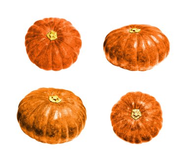 Beyaz arka planda izole edilmiş balkabağı, kırpma yolu olan Cadılar Bayramı kabağı, gölgesi yok