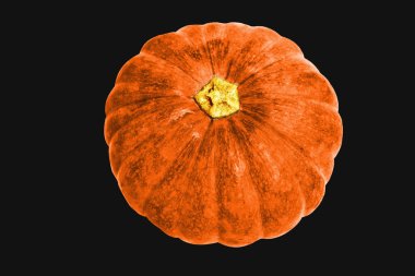 Siyah arka planda izole edilmiş balkabağı, kırpma yolu olmayan Cadılar Bayramı kabağı, gölgesiz, sonbahar arkaplanı, Şükran Günü balkabağı